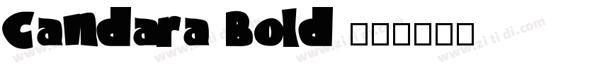 Candara Bold 粗体字体转换